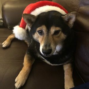 Meet your Posher, Eloise